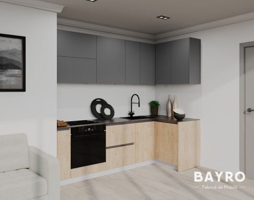 Кухня Monti Cucine Stone Grey / Rockford Hickory bayro.md Кухня Monti Cucine Stone Grey / Rockford Hickory photo